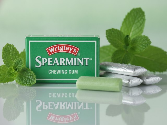 (90)ML324709037755(91)240513 Wrigleys Permen Karet Rasa Spearmint