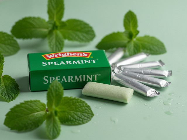 (90)ML324709037755(91)240513 Wrigleys Permen Karet Rasa Spearmint